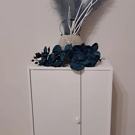 Διαμέρισμα La Casa Di Titty *